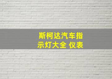 斯柯达汽车指示灯大全 仪表